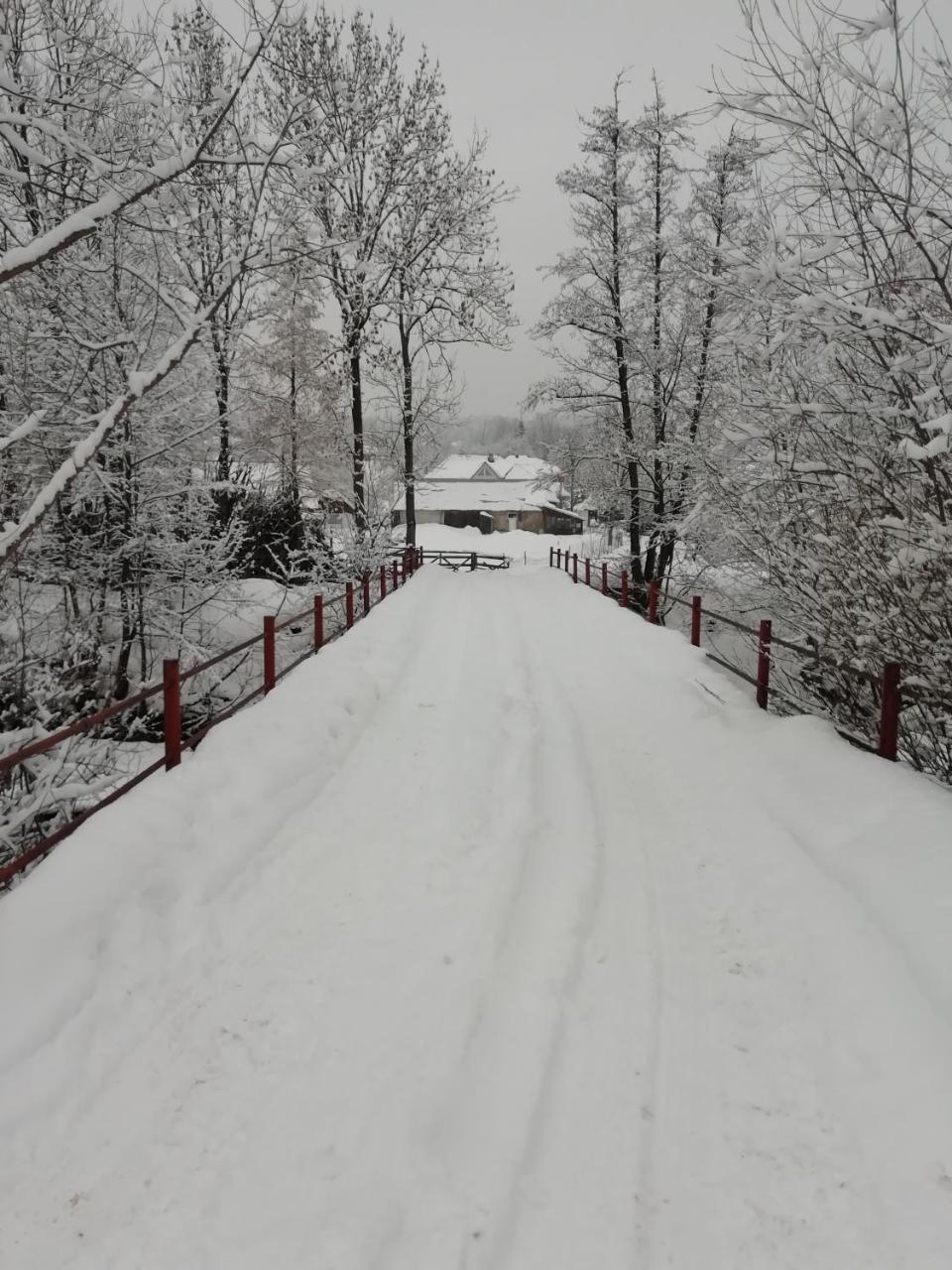 Pensiunea Mara Deseşti Exterior foto