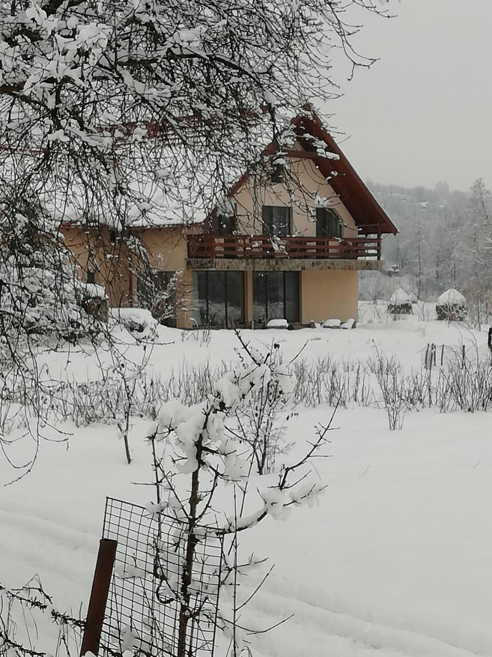 Pensiunea Mara Deseşti Exterior foto